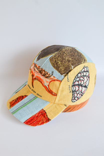 Cap | Shell and Fish | Five Panel